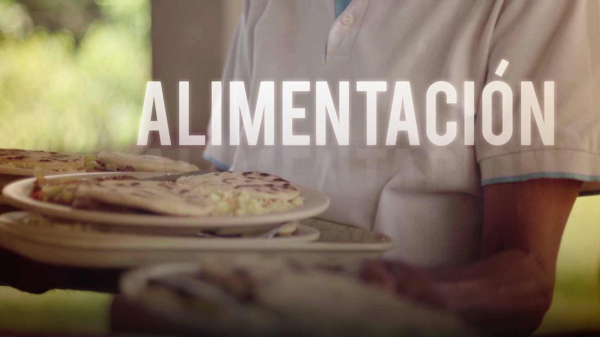 02_ALIMENTACIÓN