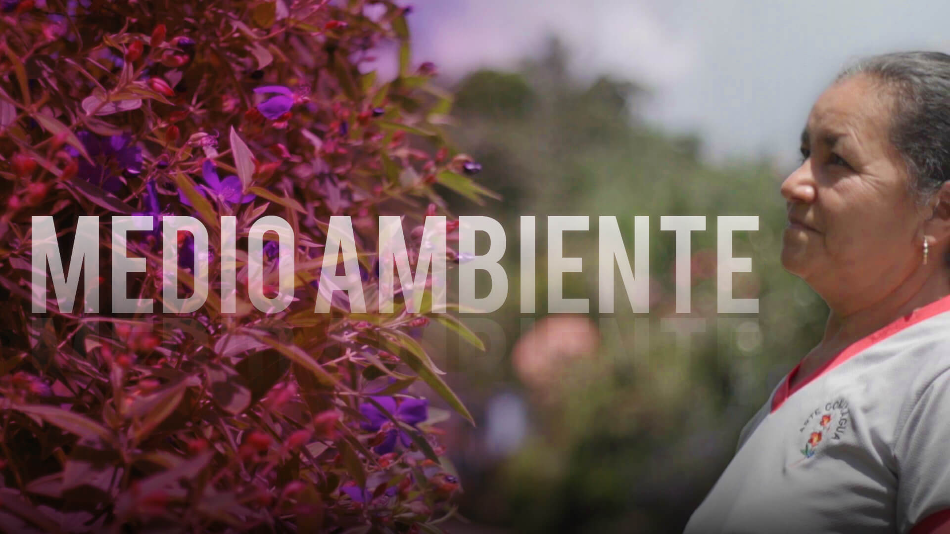 04_MEDIOAMBIENTE